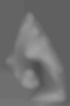 Member Image