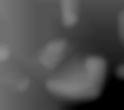 Member Image