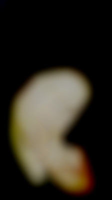Member Image