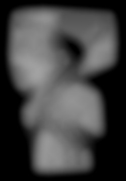 Member Image