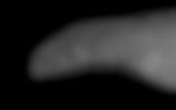 Member Image