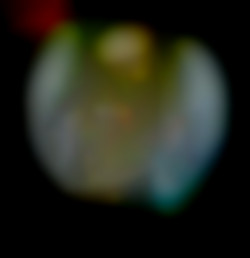 Member Image