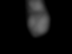 Member Image