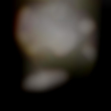 Member Image