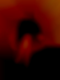 Member Image