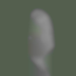 Member Image