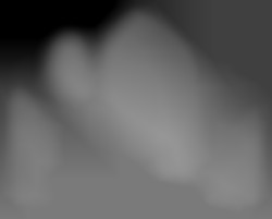 Member Image