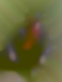 Member Image