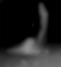 Member Image