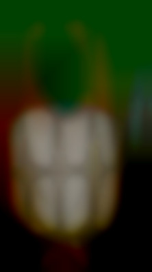 Member Image