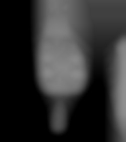 Member Image
