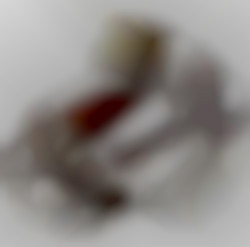 Member Image