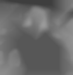 Member Image