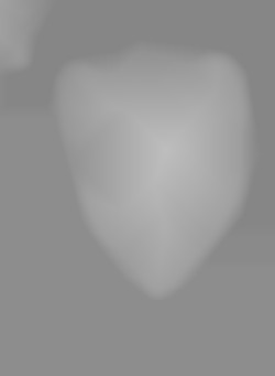 Member Image