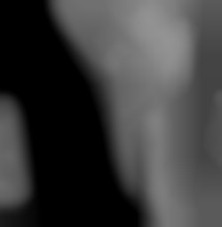 Member Image