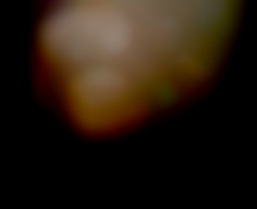 Member Image