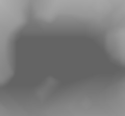 Member Image