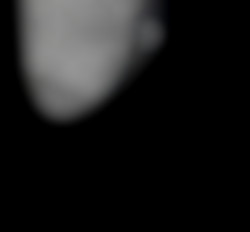 Member Image
