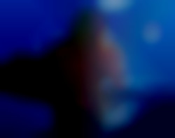 Member Image
