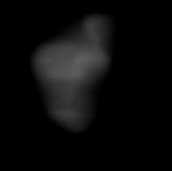 Member Image