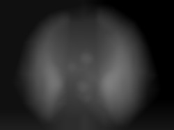Member Image