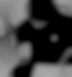 Member Image
