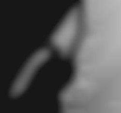Member Image