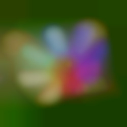 Member Image
