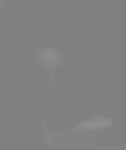 Member Image