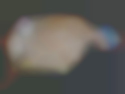 Member Image
