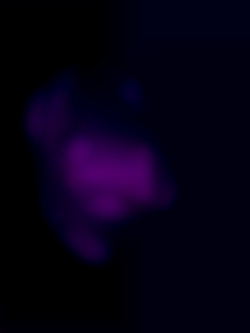 Member Image