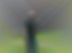 Member Image