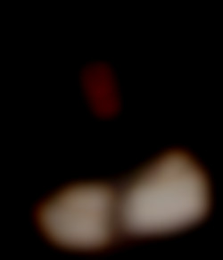 Member Image