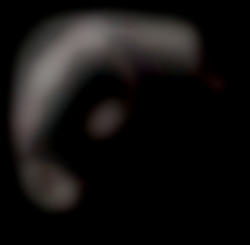 Member Image