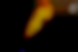 Member Image