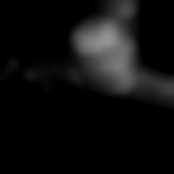 Member Image