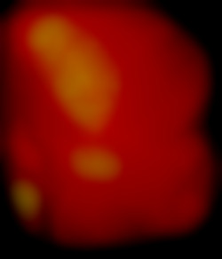 Member Image