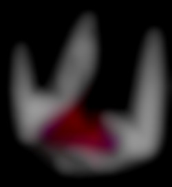 Member Image