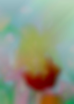 Member Image