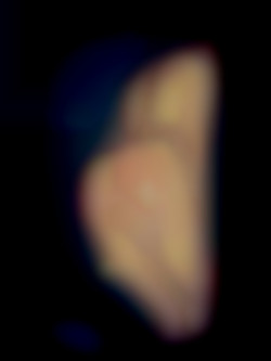 Member Image