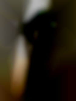 Member Image