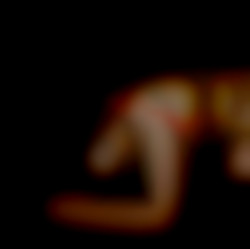 Member Image