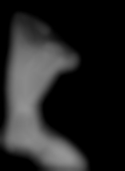 Member Image