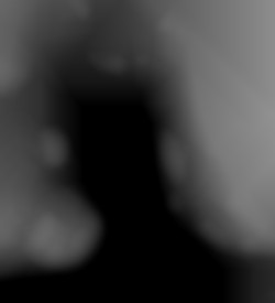 Member Image