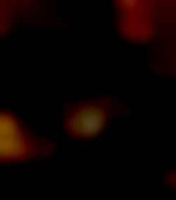 Member Image