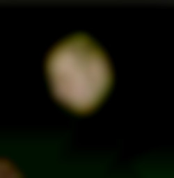 Member Image