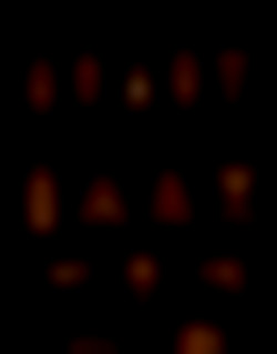 Member Image