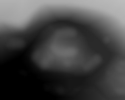 Member Image