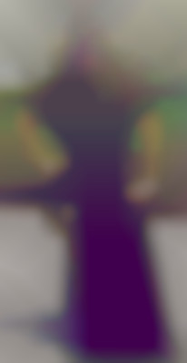 Member Image