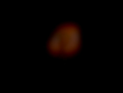 Member Image